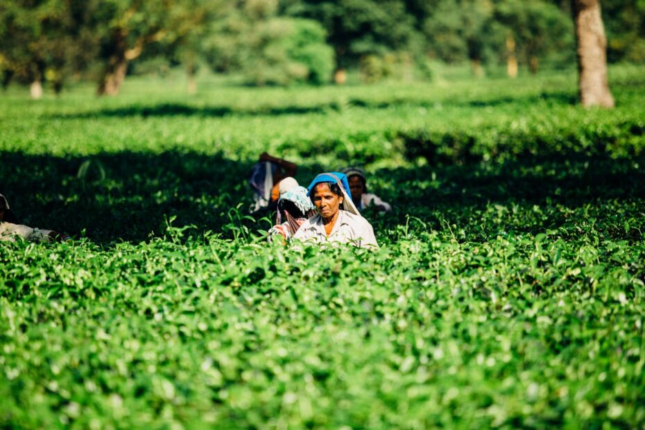 Farming Technology in India