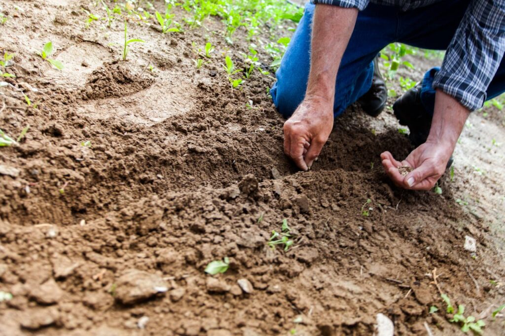 Precision Farming in India