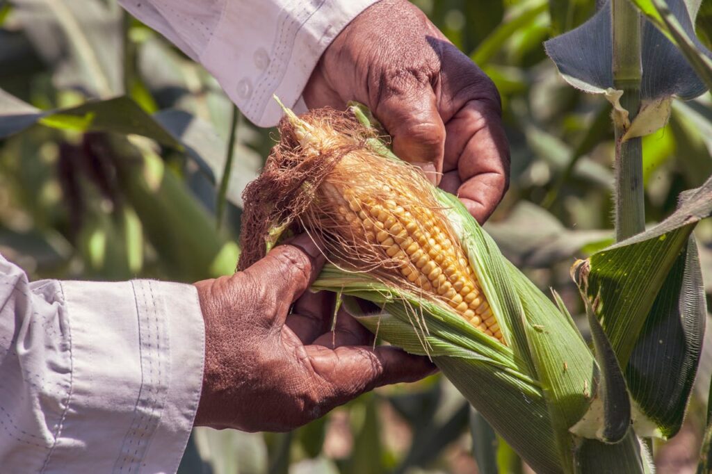 Precision Farming in India