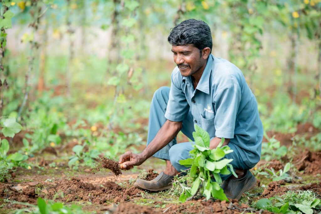 Precision Farming in India