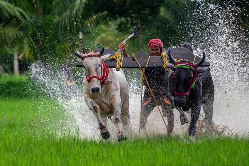 Agri-Financing and Loans