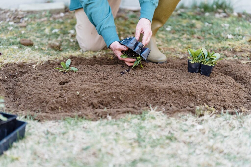 Agricultural Policy and Government Schemes