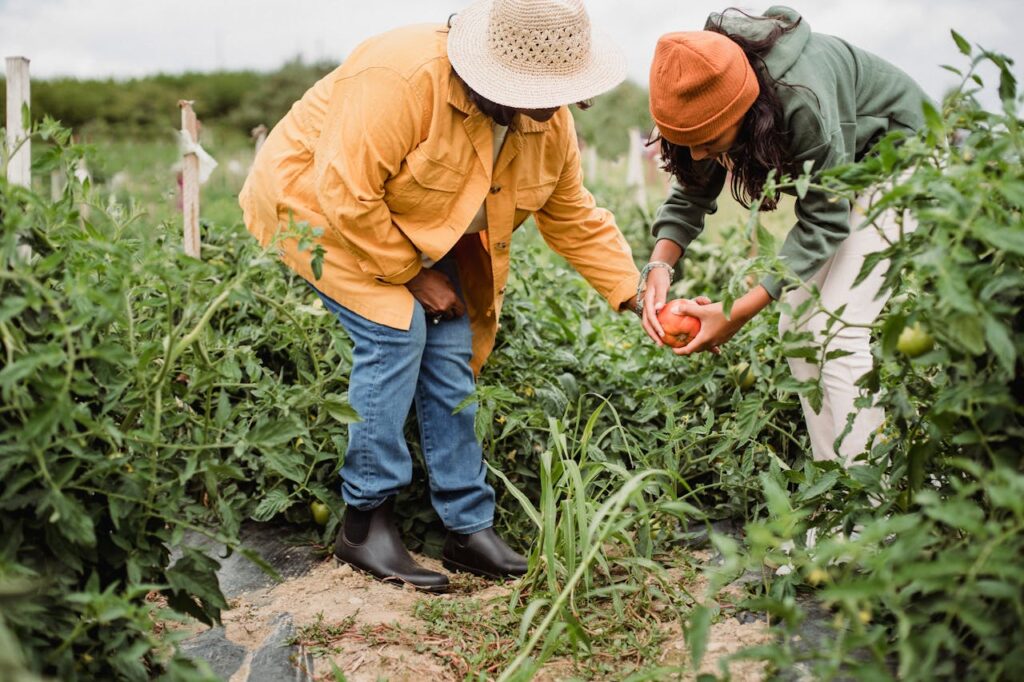 Agricultural Policy and Government Schemes