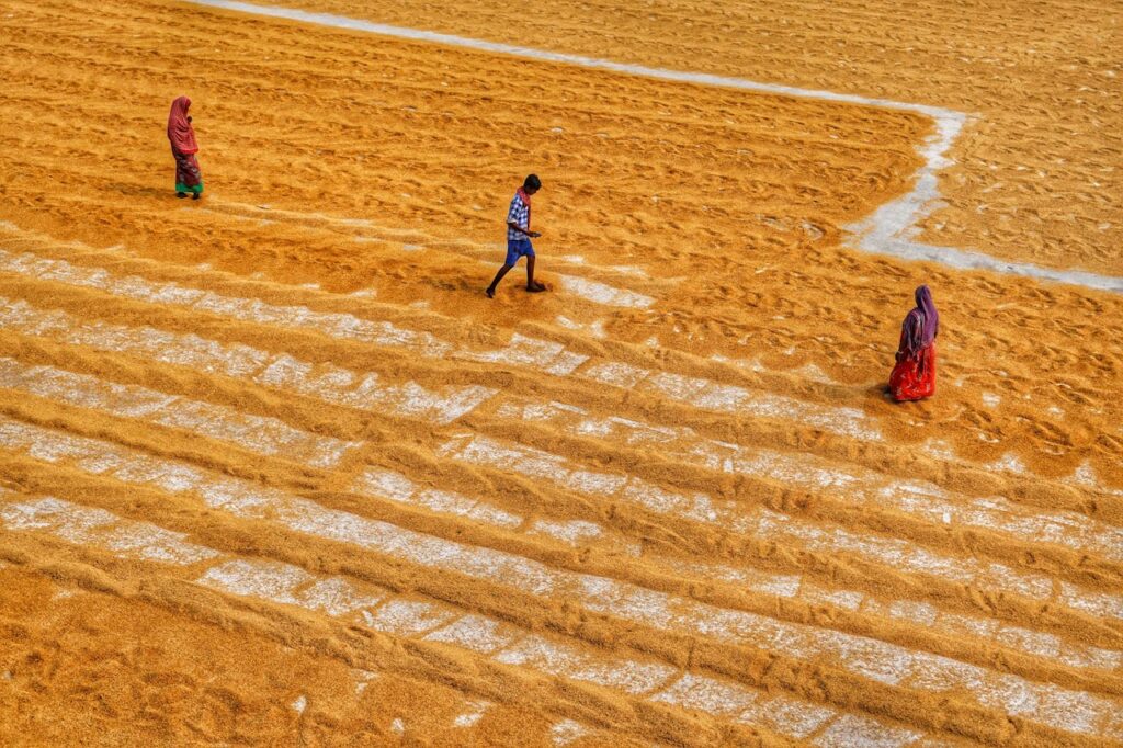 Agricultural Robotics