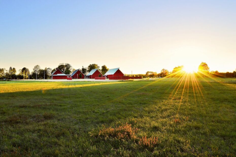 Animal Husbandry and Dairy Farming