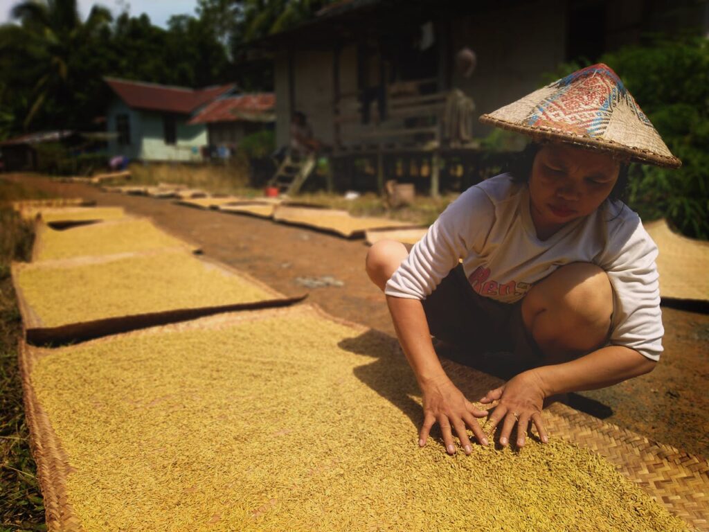 BLOCKCHAIN IN AGRICULTURE SUPPLY CHAIN