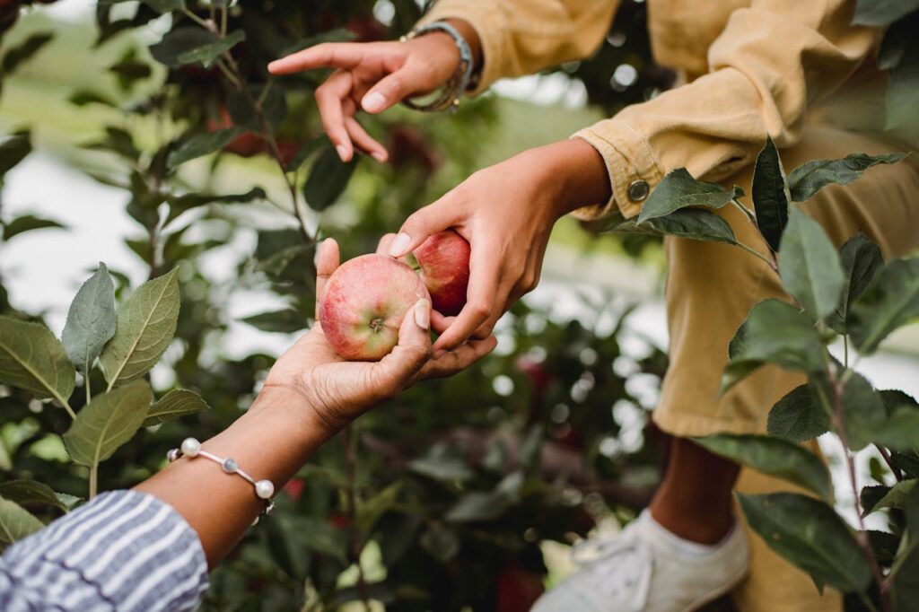 BLOCKCHAIN IN AGRICULTURE SUPPLY CHAIN