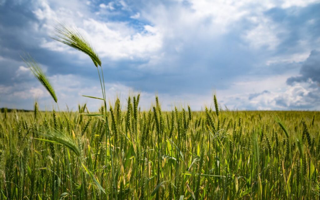 Climate Change Impact on Farming