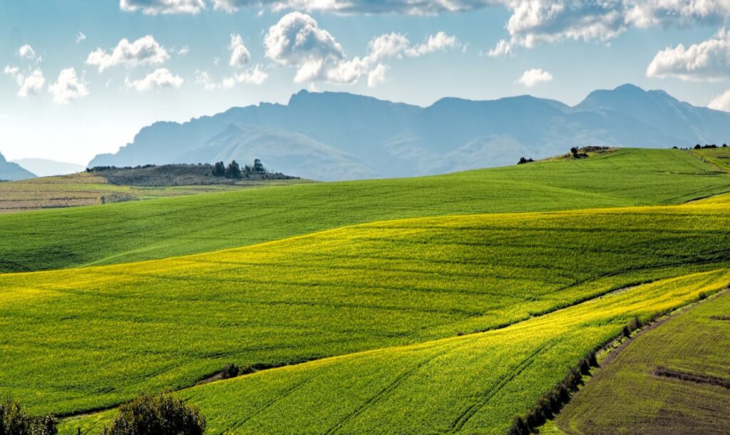 Climate Change Impact on Farming