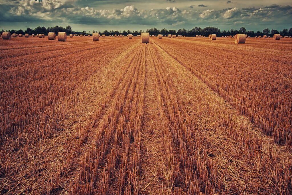 DRONES IN AGRICULTURE