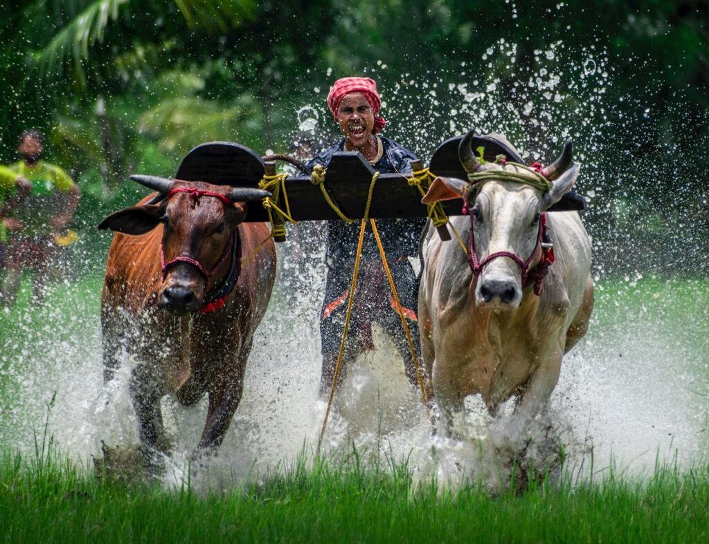 IoT in Agriculture