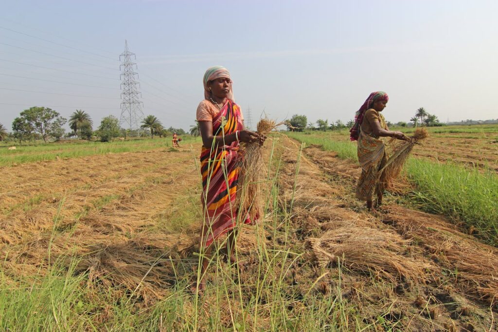 IoT in Agriculture