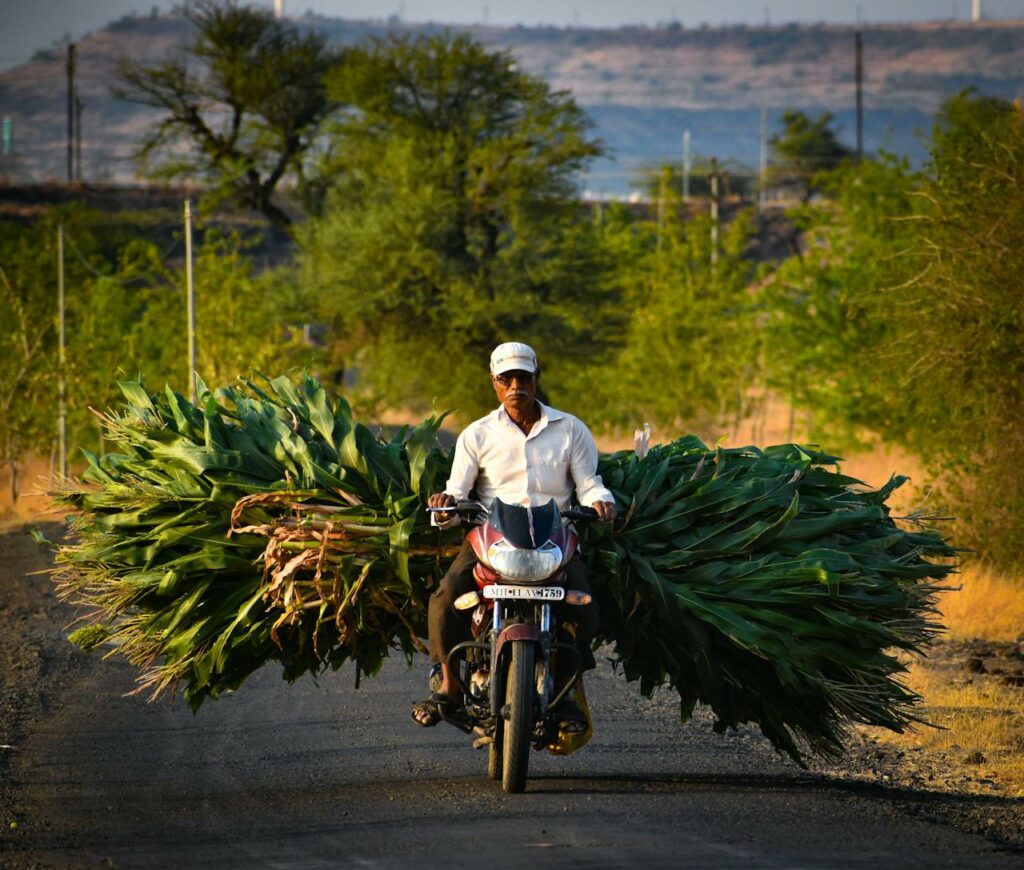 IoT in Agriculture