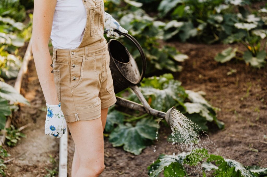 Micro-Irrigation Techniques