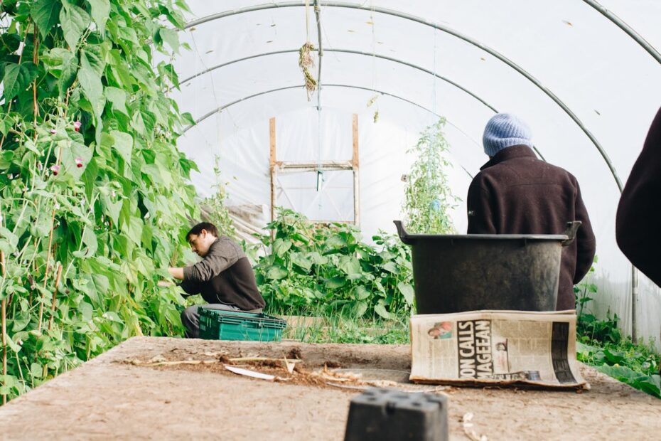 Micro-Irrigation Techniques