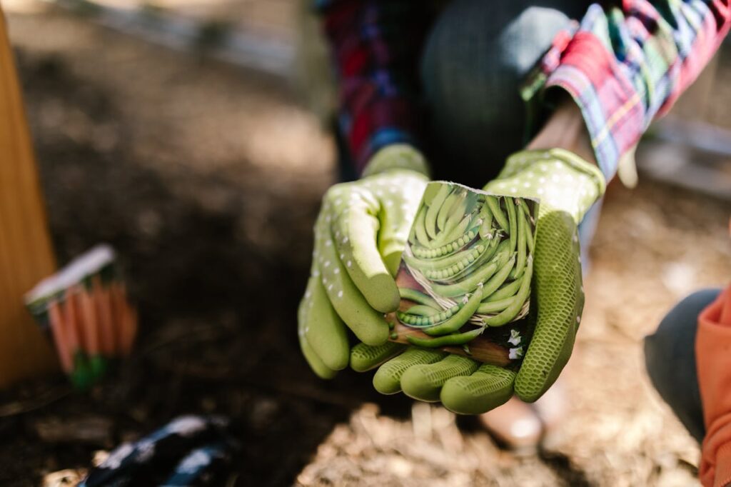 Organic Farming