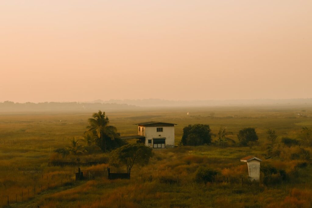 Post-Harvest Management