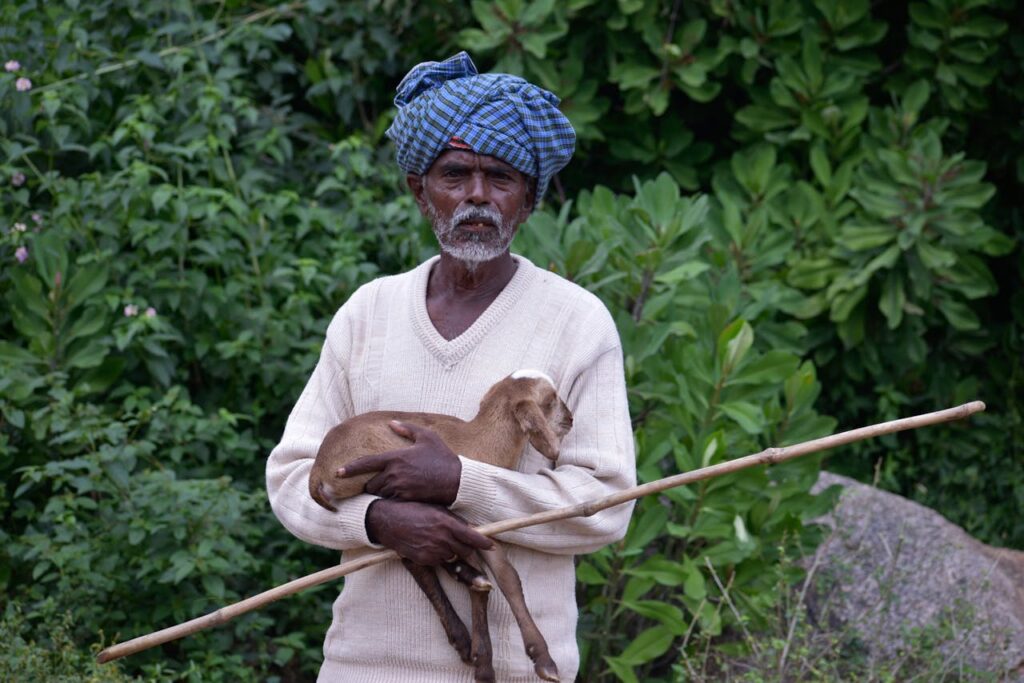 Post-Harvest Management