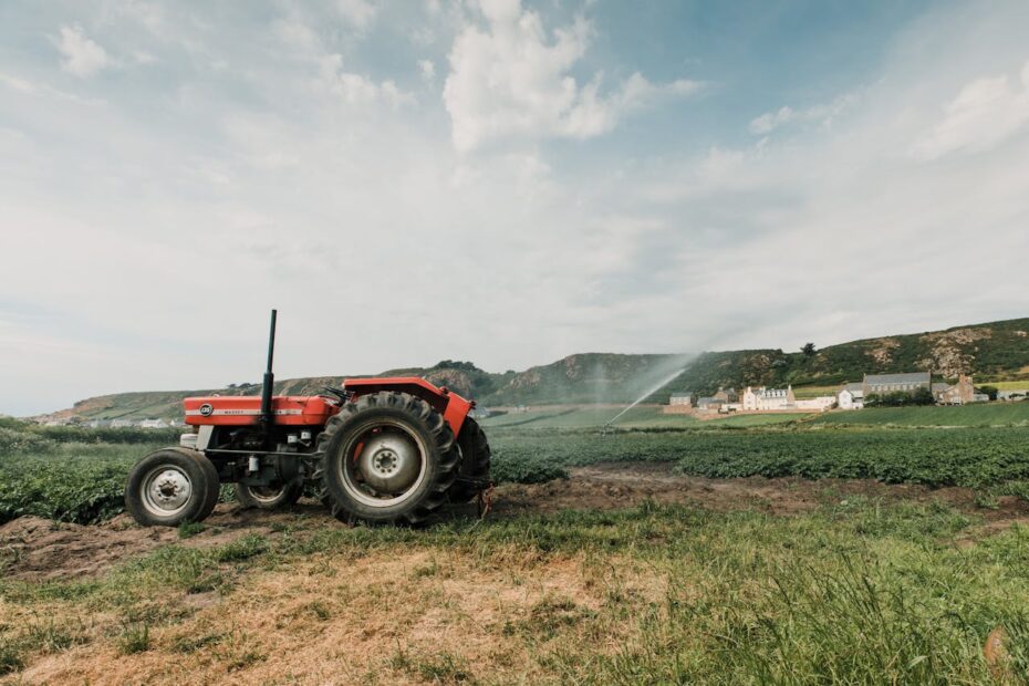 Post-Harvest Management