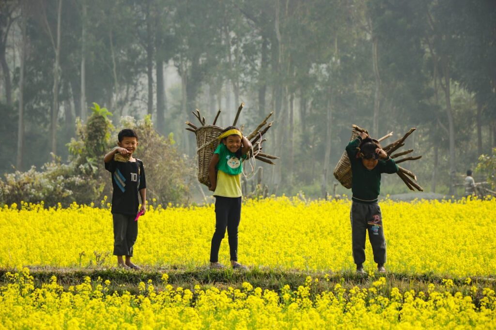 Rural Development through Agriculture