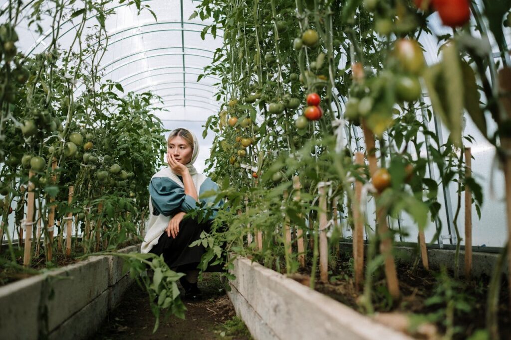 Soil Health and Fertility