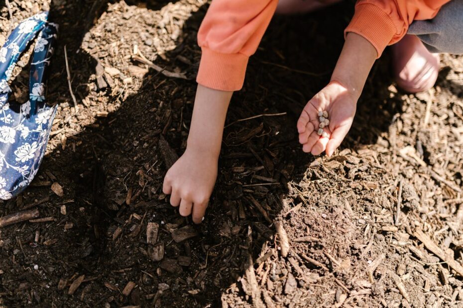 Soil Health and Fertility