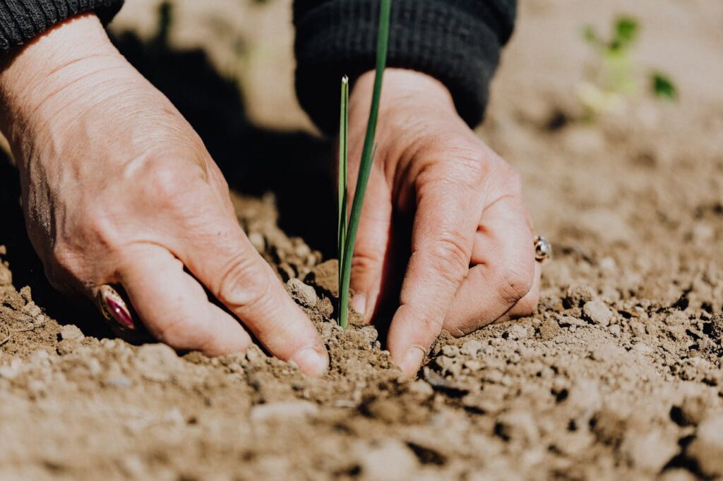 Sustainable Agriculture Practices