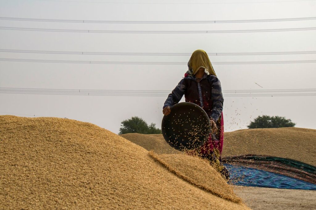 Sustainable Agriculture Practices