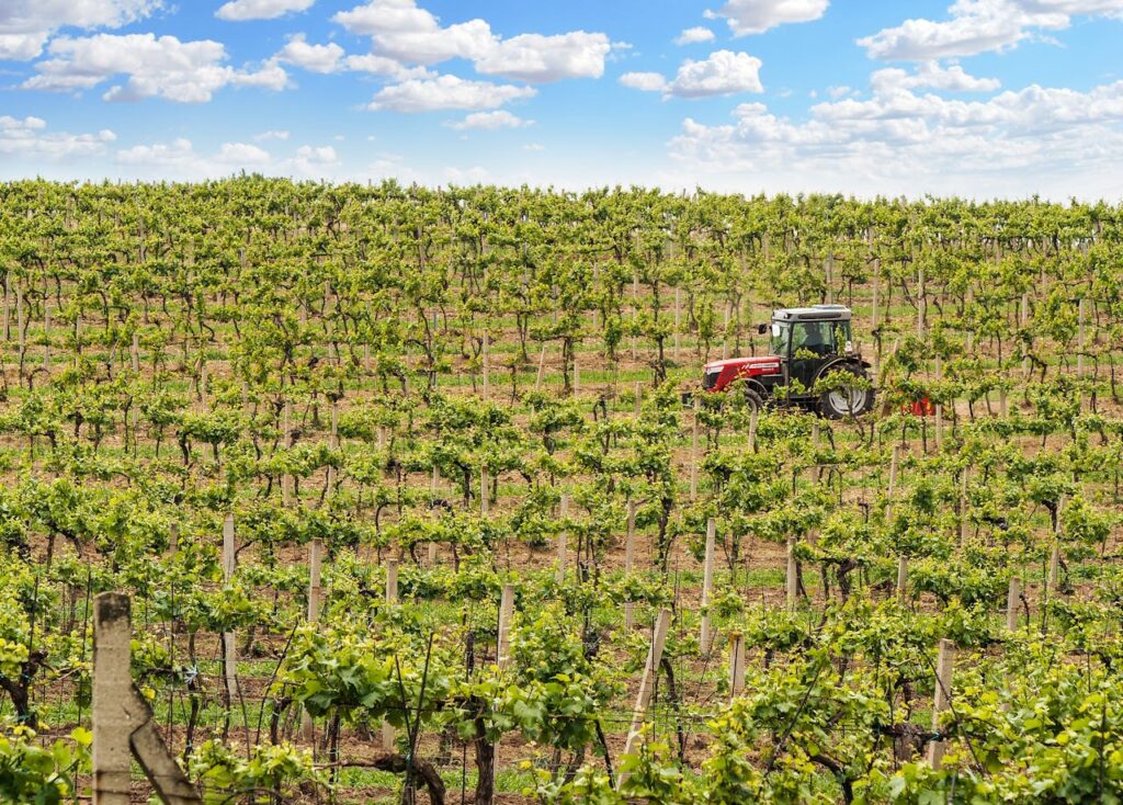 Combine Harvester Machine: Revolutionizing Agriculture in India