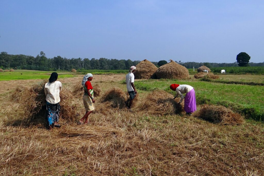 Innovation in Agriculture in India: Driving the Future of Farming