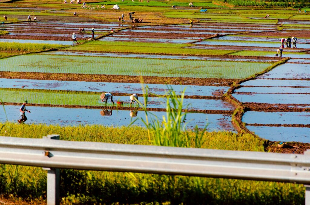 Livestock Farming in India: A Comprehensive Overview