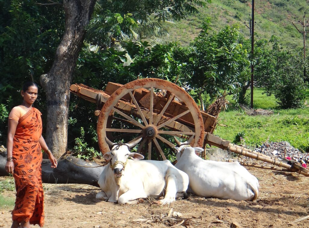 Animal Farming: A Vital Component of Indian Agriculture