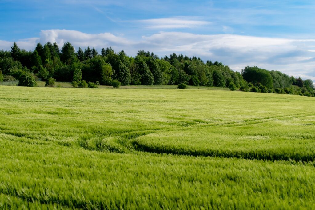 Agricultural Census: Understanding the Backbone of India's Agriculture