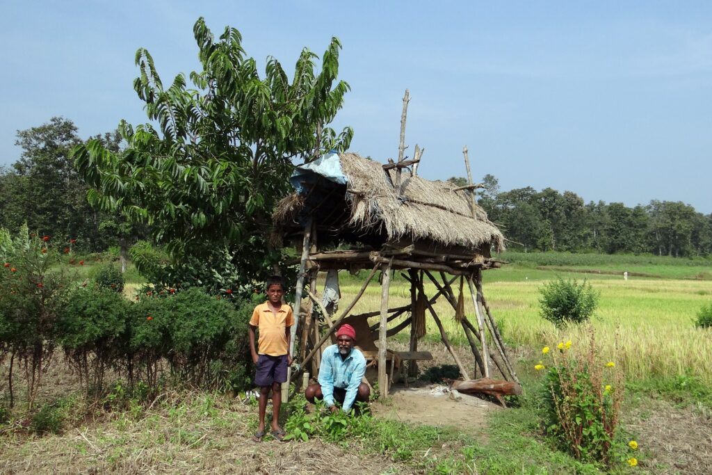 Agricultural Census: Understanding the Backbone of India's Agriculture