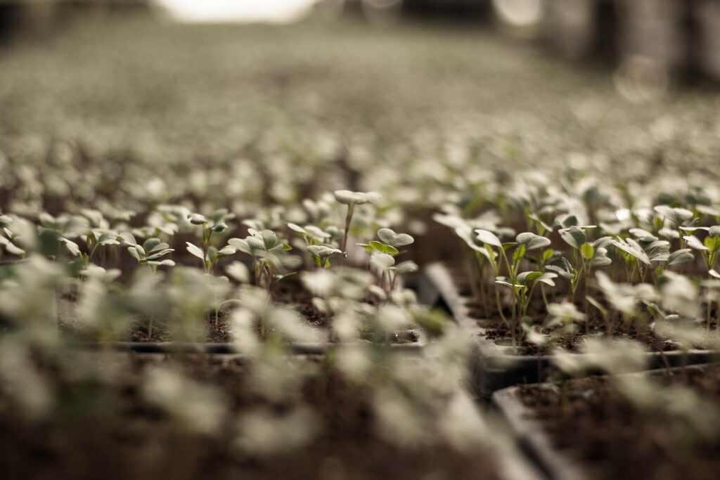 Agricultural Census: Understanding the Backbone of India's Agriculture