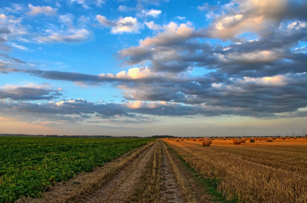 Shifting Agriculture: Traditional Practices and Modern Challenges in India