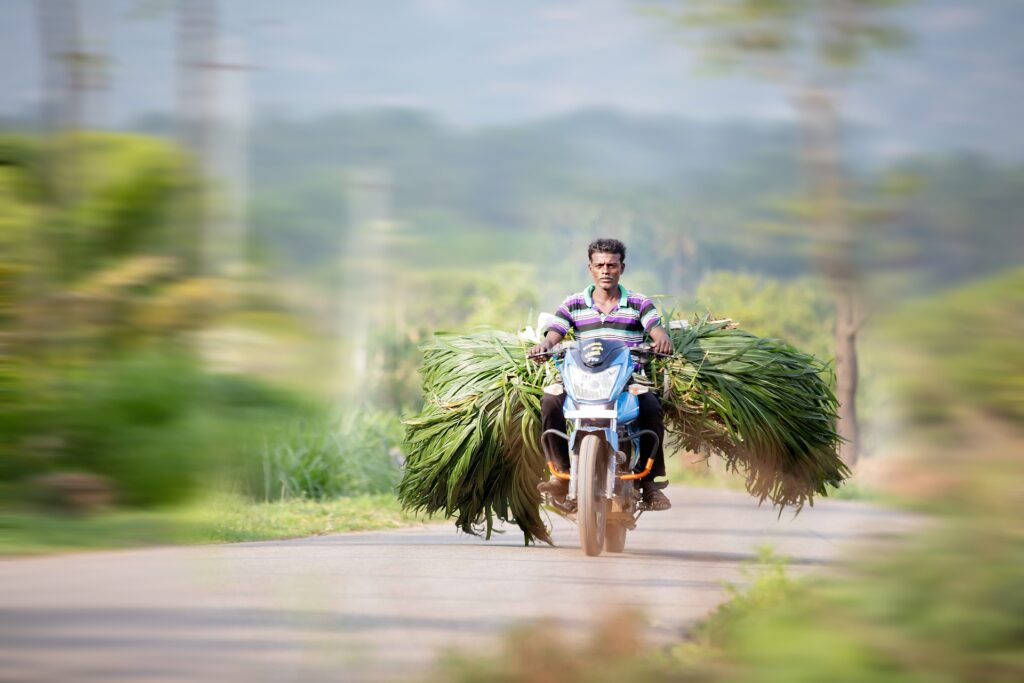 Shifting Agriculture: Traditional Practices and Modern Challenges in India