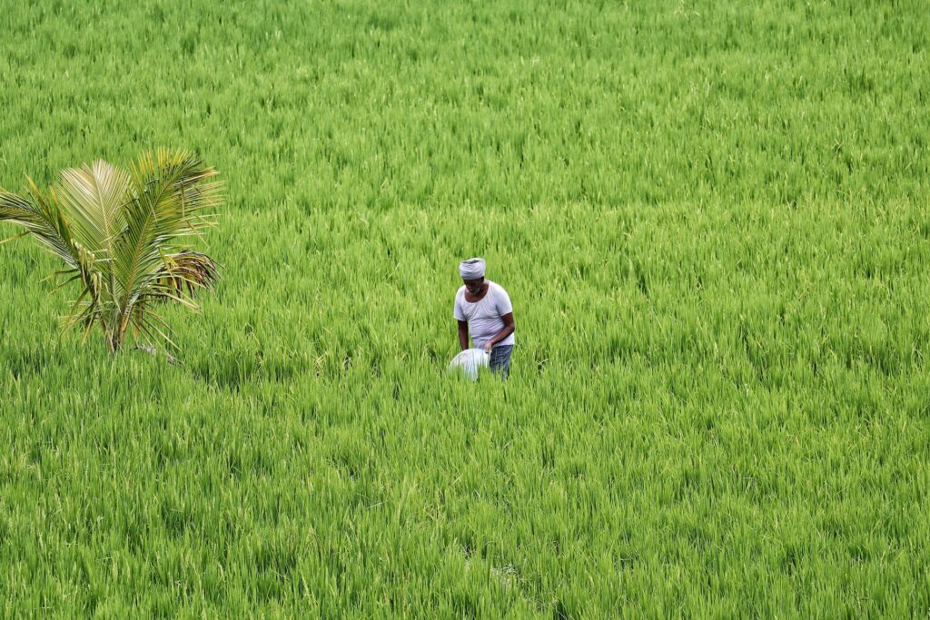 Subsistence Farming: Sustaining Rural Livelihoods in India