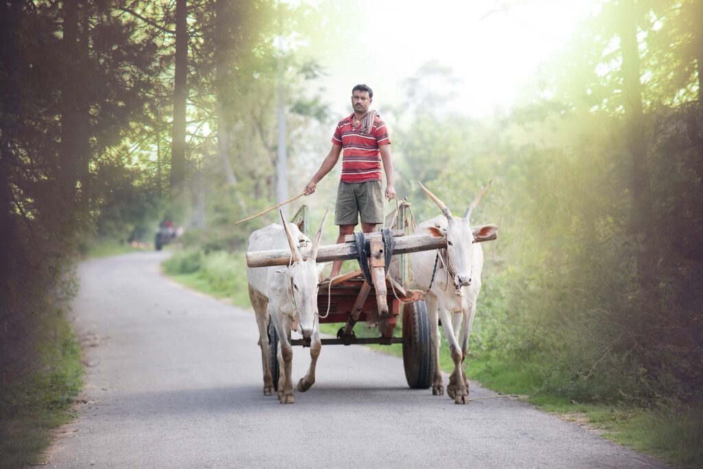 Biotechnology in Agriculture in India: Transforming Farming for the Future