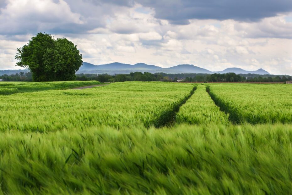 Climate Smart Agriculture: Adapting to a Changing Climate in India