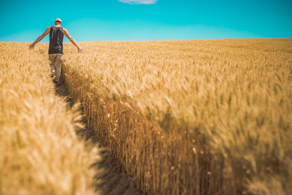 Innovation in Agriculture in India: Driving the Future of Farming