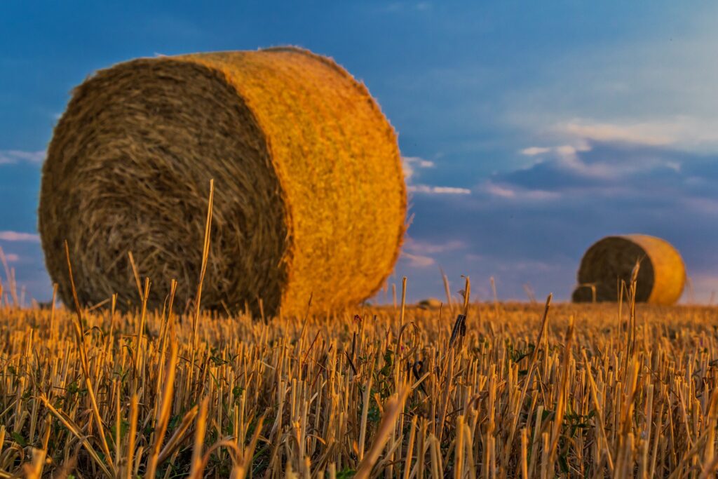 Climate Smart Agriculture: Adapting to a Changing Climate in India