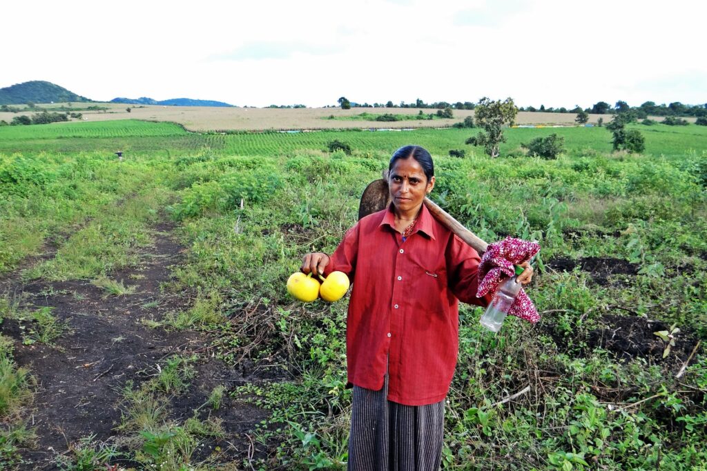 Biotechnology in Agriculture in India: Transforming Farming for the Future