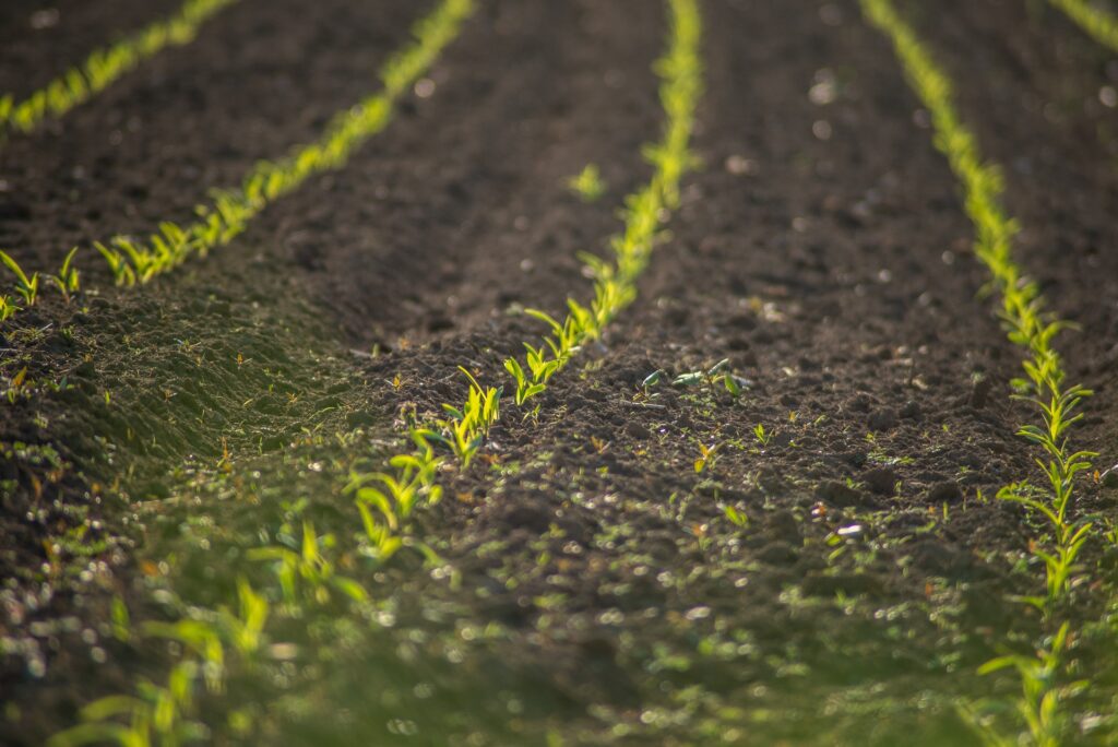 Climate Smart Agriculture: Adapting to a Changing Climate in India