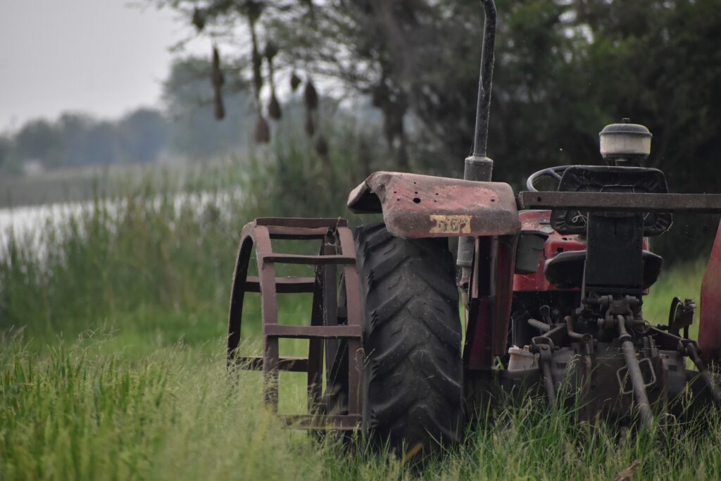 Agriculture Research in India: Pioneering Innovations for Sustainable Growth