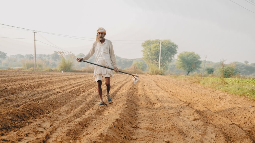 Innovation in Agriculture in India: Driving the Future of Farming