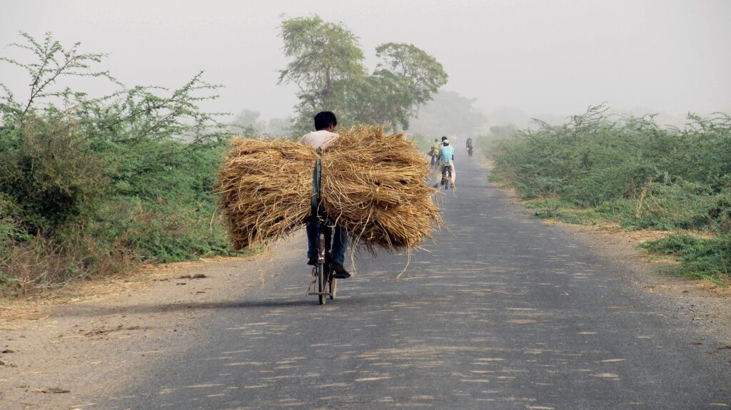 Innovation in Agriculture in India: Driving the Future of Farming