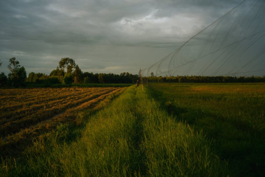 Drone Sprayers: Revolutionizing Agricultural Pest Management