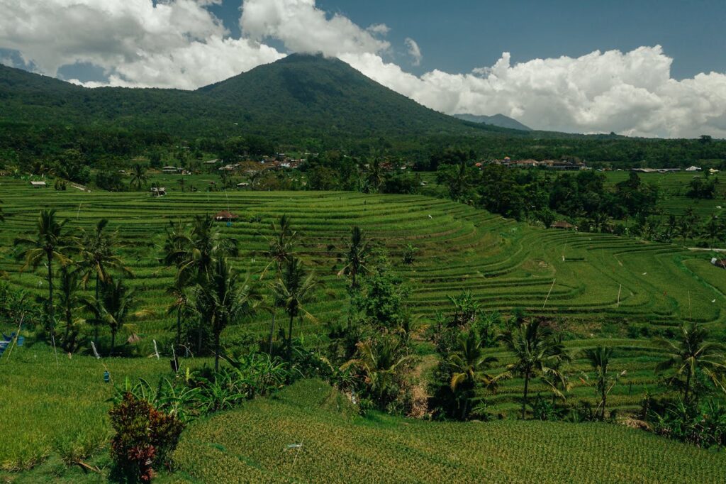 No-Till Farming: Revolutionizing Soil Health and Crop Production