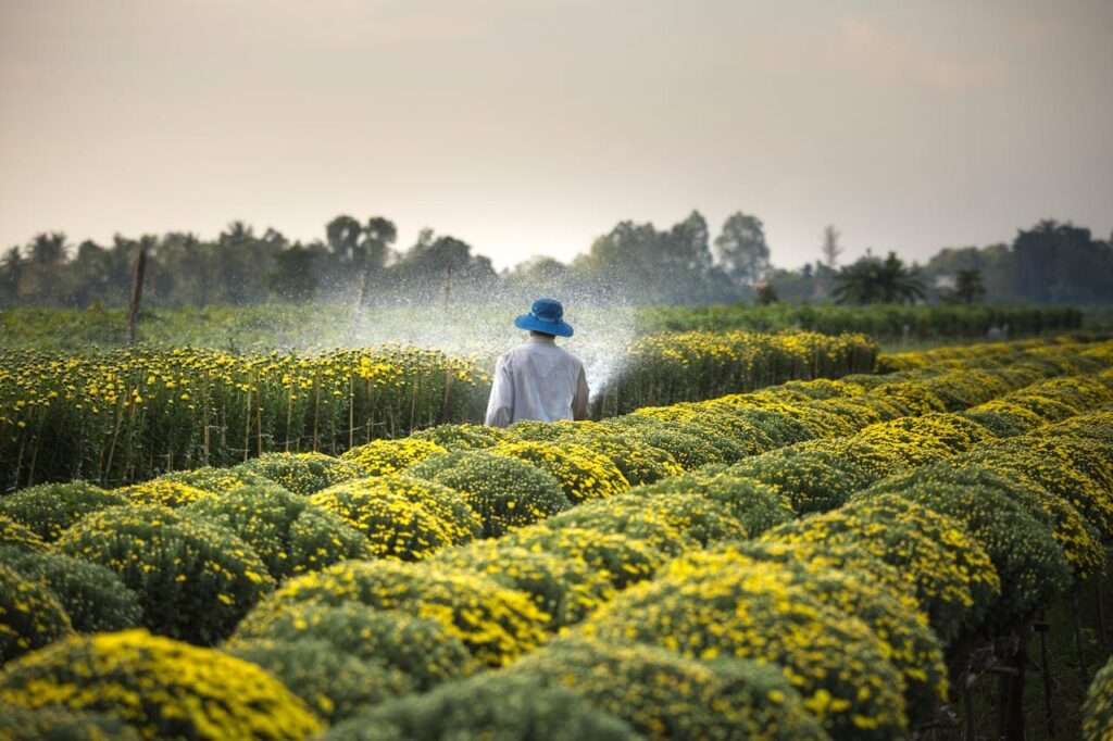 Agricultural Engineering: Advancing Farming Through Innovation and Technology